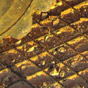 Diamond Grid